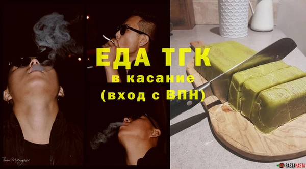 индика Бронницы