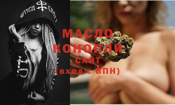 индика Бронницы