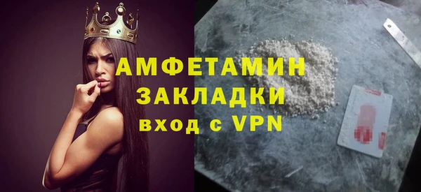 индика Бронницы