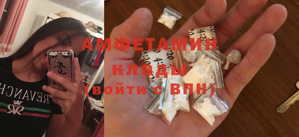 индика Бронницы