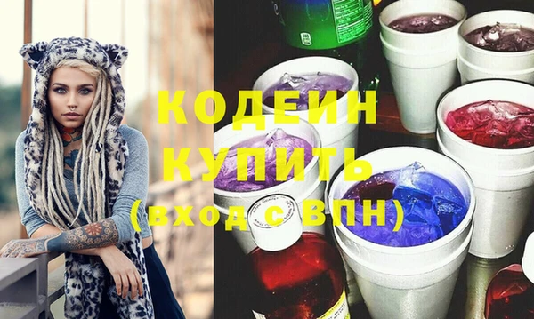 индика Бронницы