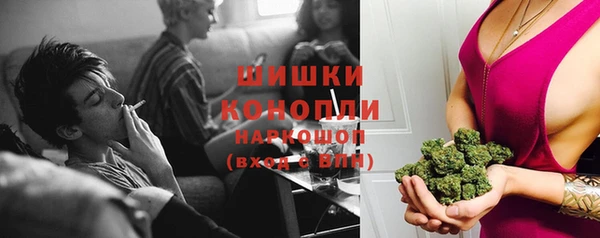 прущие грибы Белоозёрский
