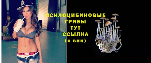метадон Верея