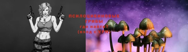 индика Бронницы