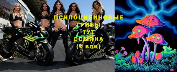 индика Бронницы