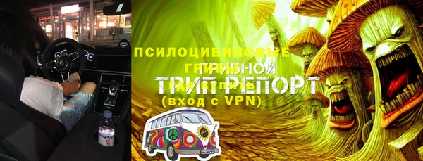 a pvp Бородино