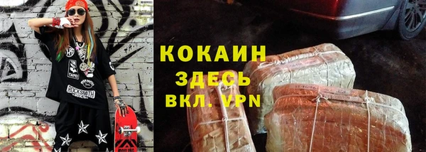 индика Бронницы