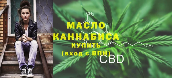индика Бронницы