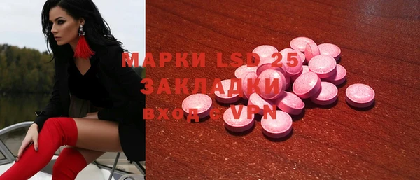 индика Бронницы