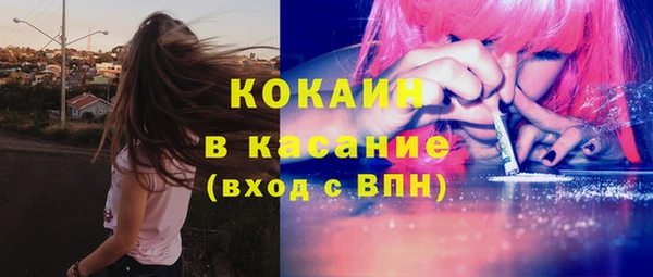 индика Бронницы