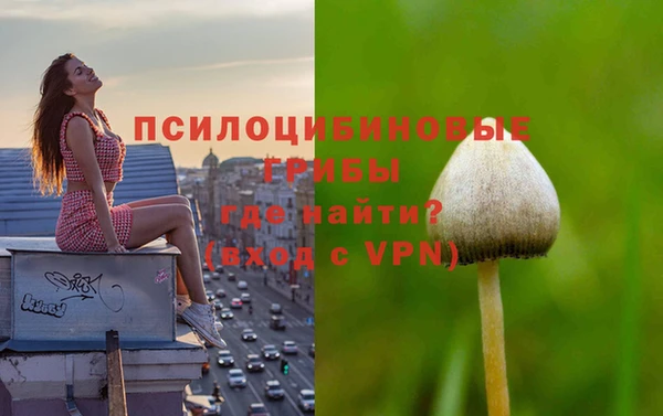 a pvp Бородино